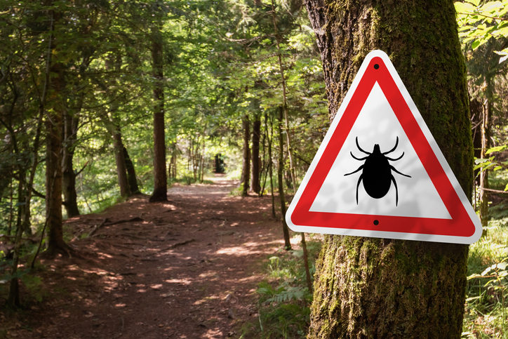 Warning sign on a tree with image of tick